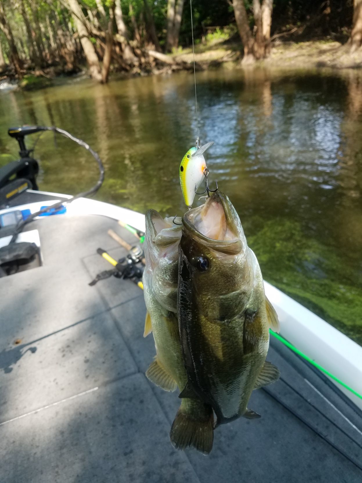 Quad-City Times Best Fish Photo Contest